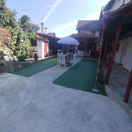 La Zinculescu Hotel Albestii Paminteni Eksteriør billede