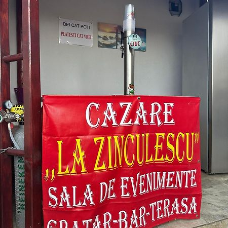 La Zinculescu Hotel Albestii Paminteni Eksteriør billede