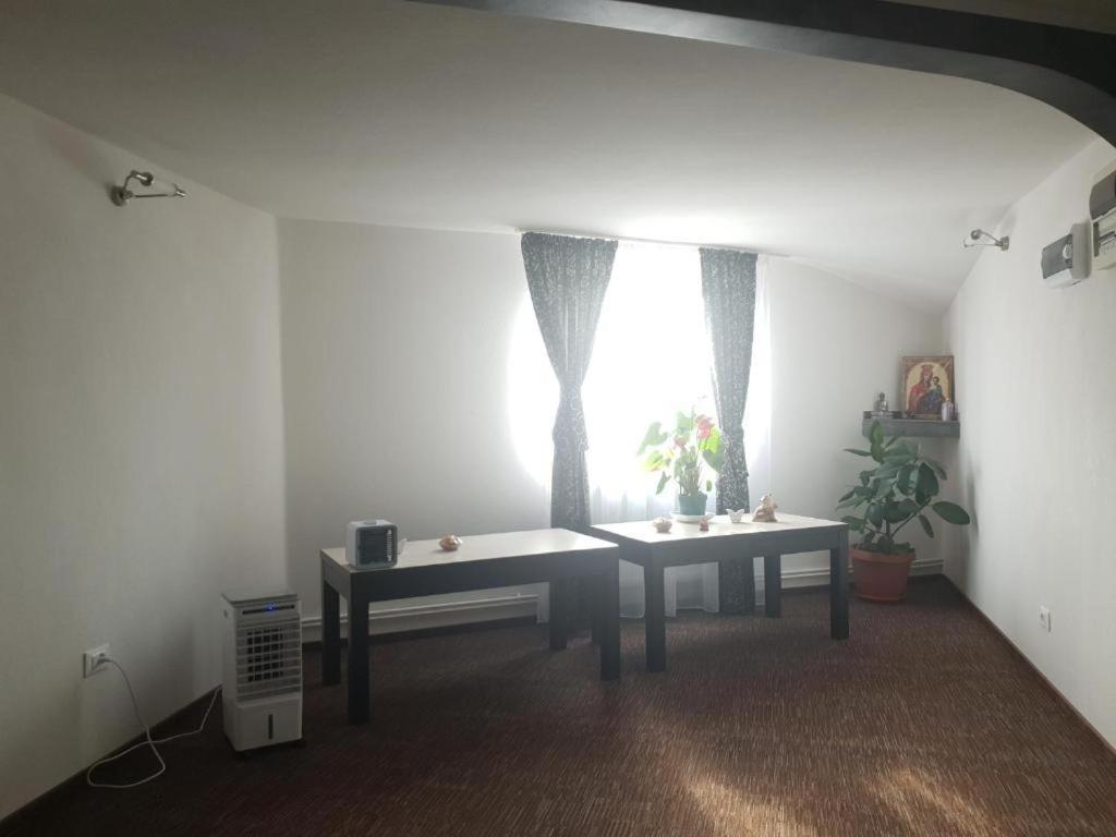 La Zinculescu Hotel Albestii Paminteni Eksteriør billede