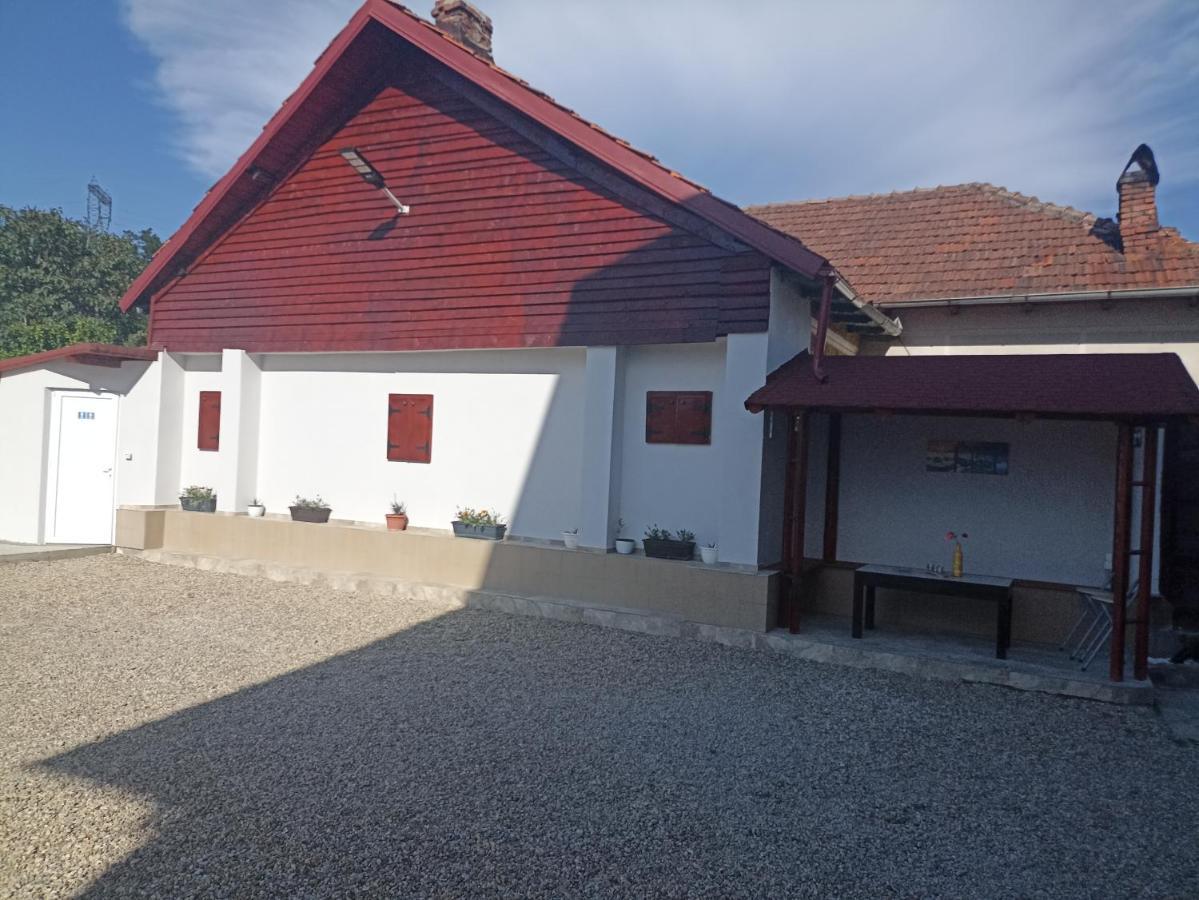 La Zinculescu Hotel Albestii Paminteni Eksteriør billede