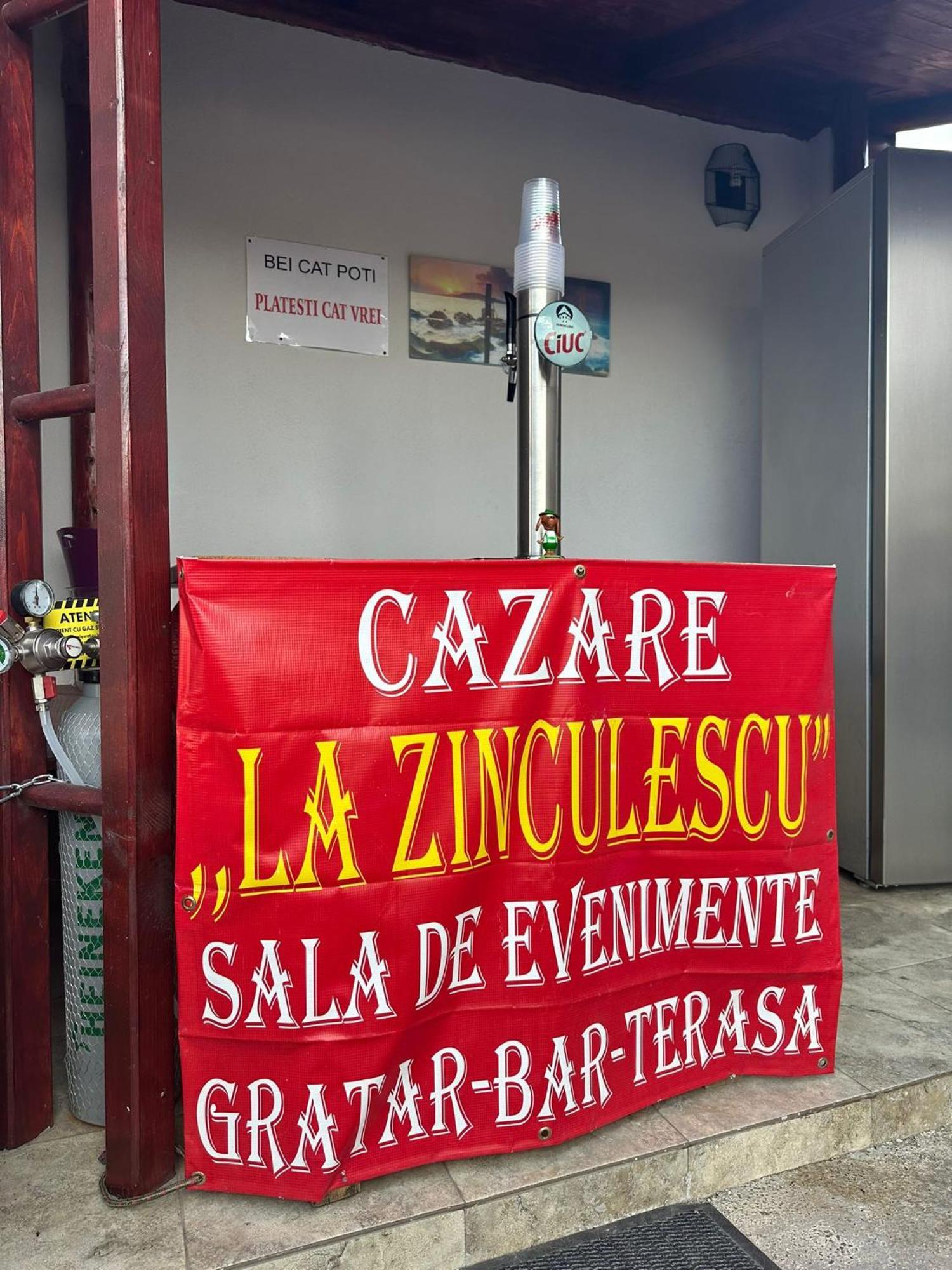 La Zinculescu Hotel Albestii Paminteni Eksteriør billede